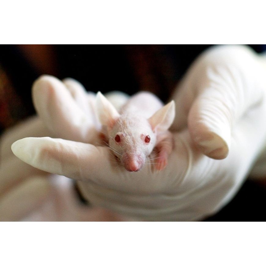 CBD et dépression : différents effets selon le sexe ?