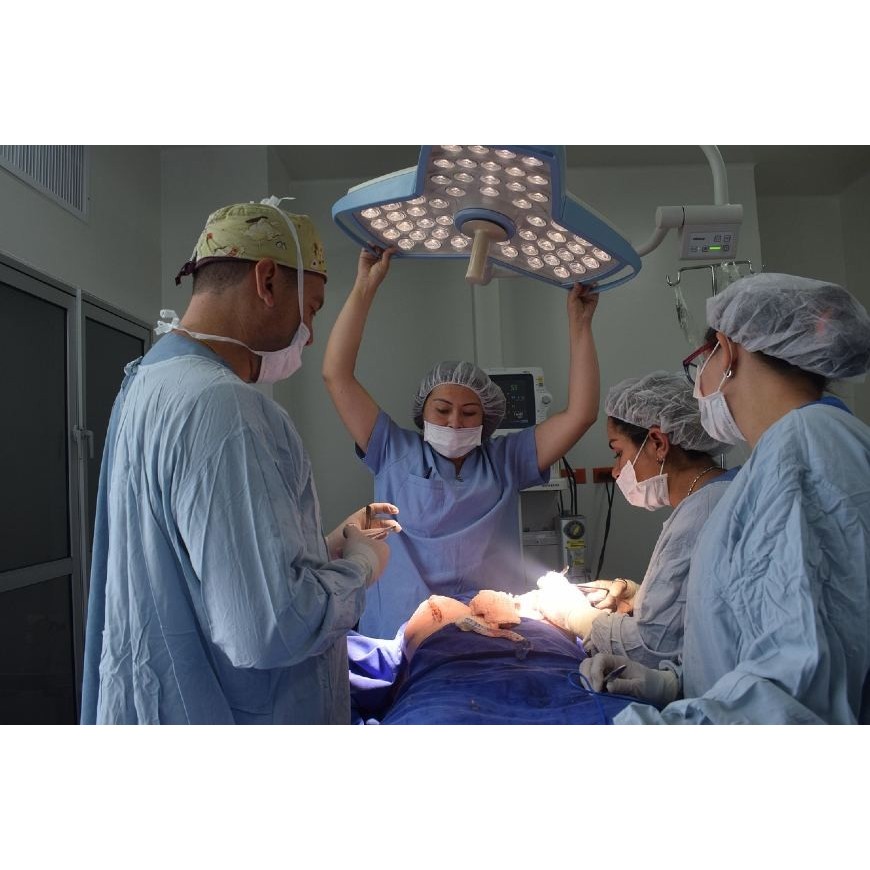 Du CBD après une greffe d'organe ?