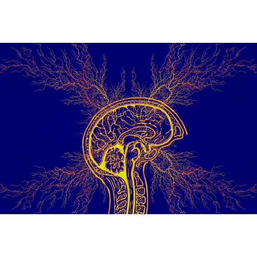 Du cannabis contre le syndrome de Tourette ?