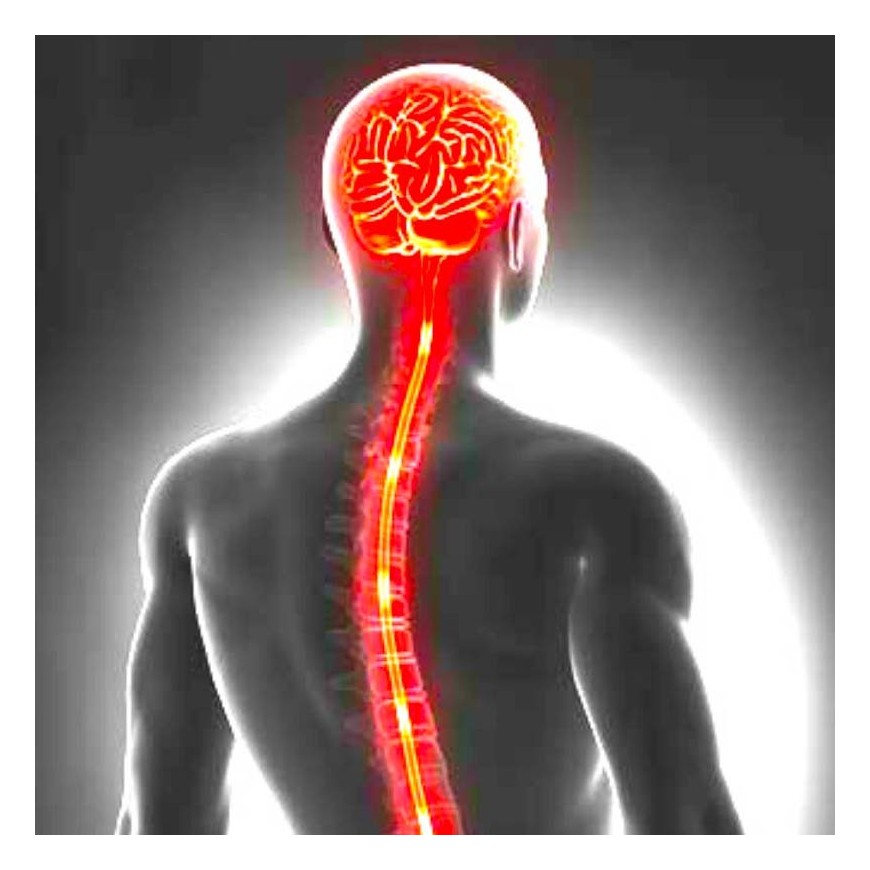 Le CBD et la Sclérose en plaques SEP