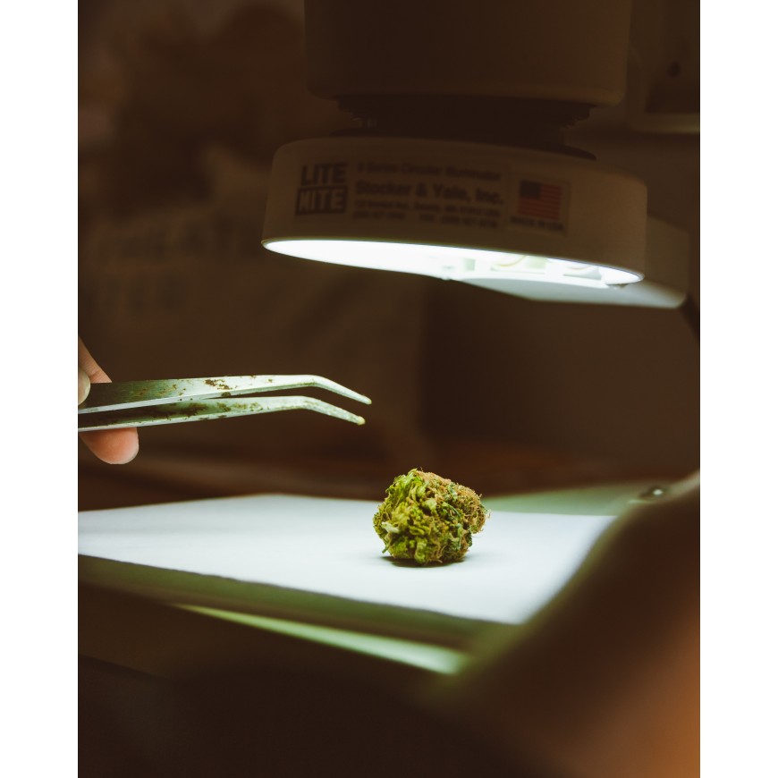 Le H4-CBD en détail