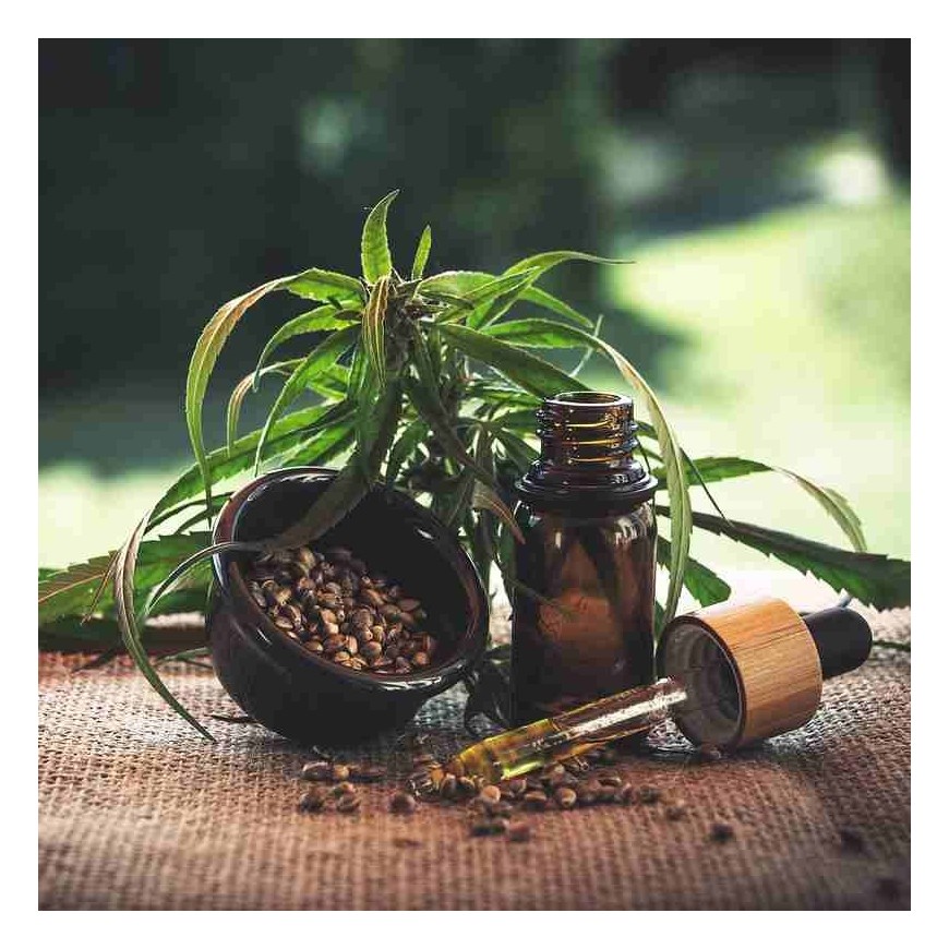 Le CBN : une alternative prometteuse au HHC