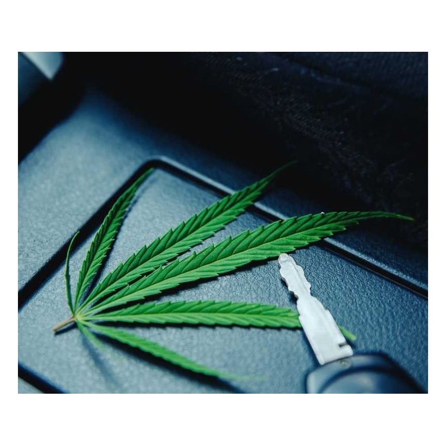 Le CBD interdit au volant : quelles solutions ?