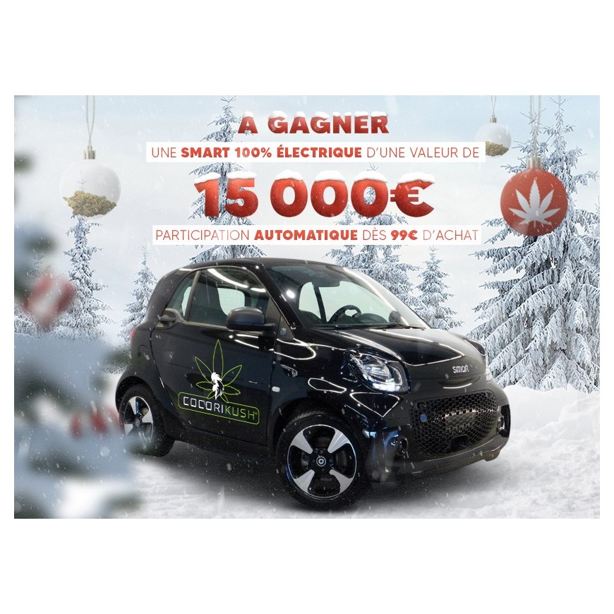 Règlement du Jeu Concours