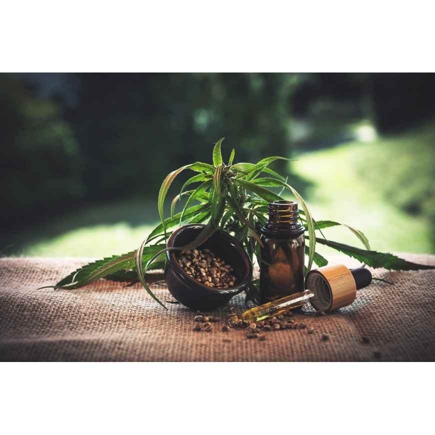 Huile CBD ou Fleur CBD