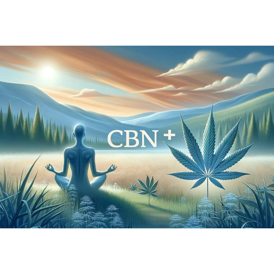 Tout savoir sur le CBN+